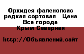 Орхидея фаленопсис редкая сортовая › Цена ­ 800 - Все города  »    . Крым,Северная